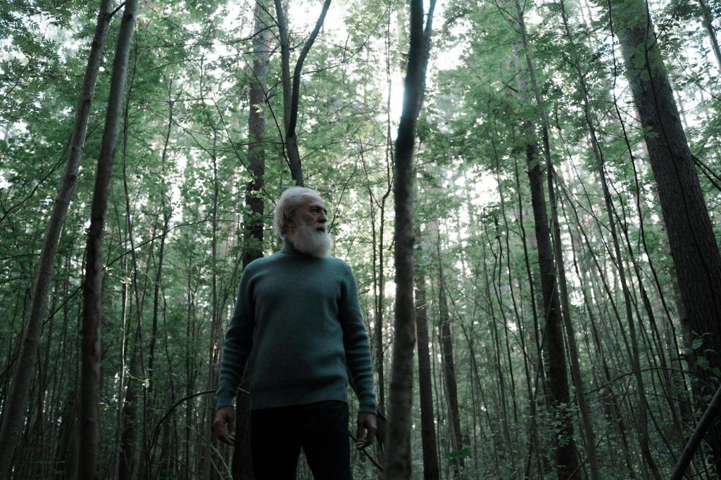 Senior Man with White Beard Walking in Forest
